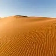 まーぼーの画像