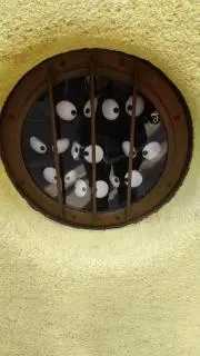 どんぐりセンパイの画像