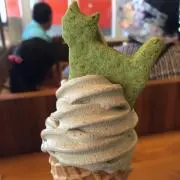 nekoの画像