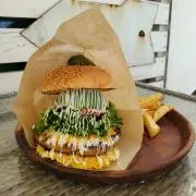 きゃんの画像