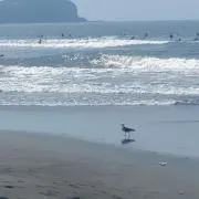 YKの画像