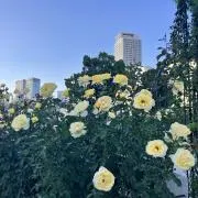 なちゅらる