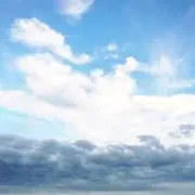 ゆゆ