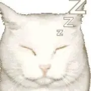 reiの画像