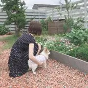 MINAの画像