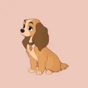 koの画像