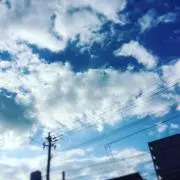 もちもち@断捨離中の画像