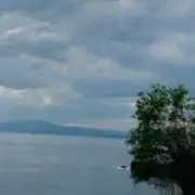 ..sy..