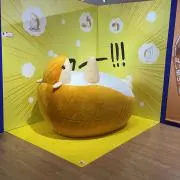 kiriyannjpの画像