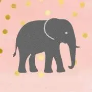 なでしこの画像