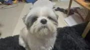 山本英樹