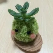 ちぃの画像