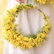 yuꕤの画像