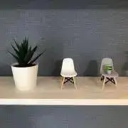 haruの画像