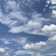 コンパスの画像