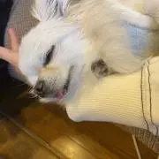 mk@断捨離中！の画像
