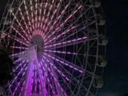*エカナマム*の画像