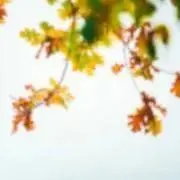とも