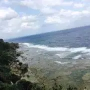 Mの画像