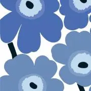 Sの画像