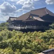 mの画像