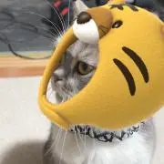 カイくん‼︎