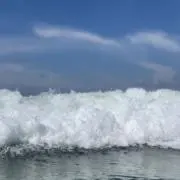 ダース214の画像