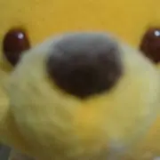 テルコの画像