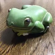 frog