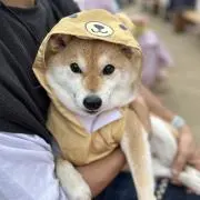 プロフ必読バイヤーの画像