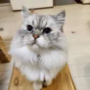翌日発送心がけています‼️の画像