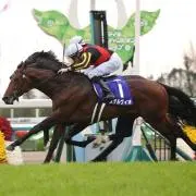 ステルヴィオ