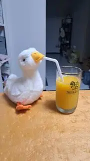ろばの画像