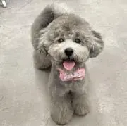 そらひな