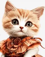 M Cat-Boutiqueの画像