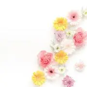 LIFEの画像