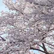 ヲさん プロフ必読の画像