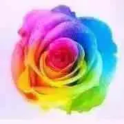 7color(プロフィールご確認下さい)の画像