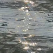 ‪✩.*˚の画像