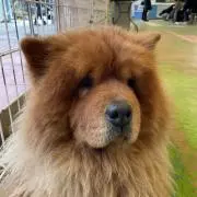 Aaaの画像