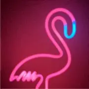 フラミンゴの画像