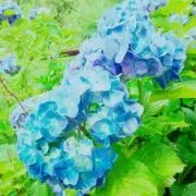 はなちゃん★プロフィールをご一読くださいの画像