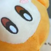 花の画像