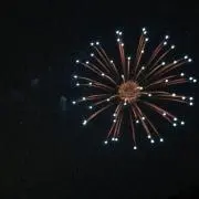 とり