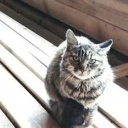 あいる❁