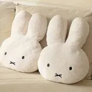 のぴの画像