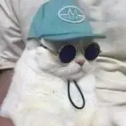 からあげの画像