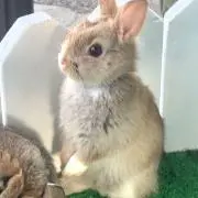 きよ