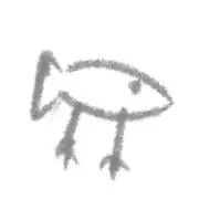しゃけの画像