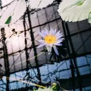 puliiin2525の画像